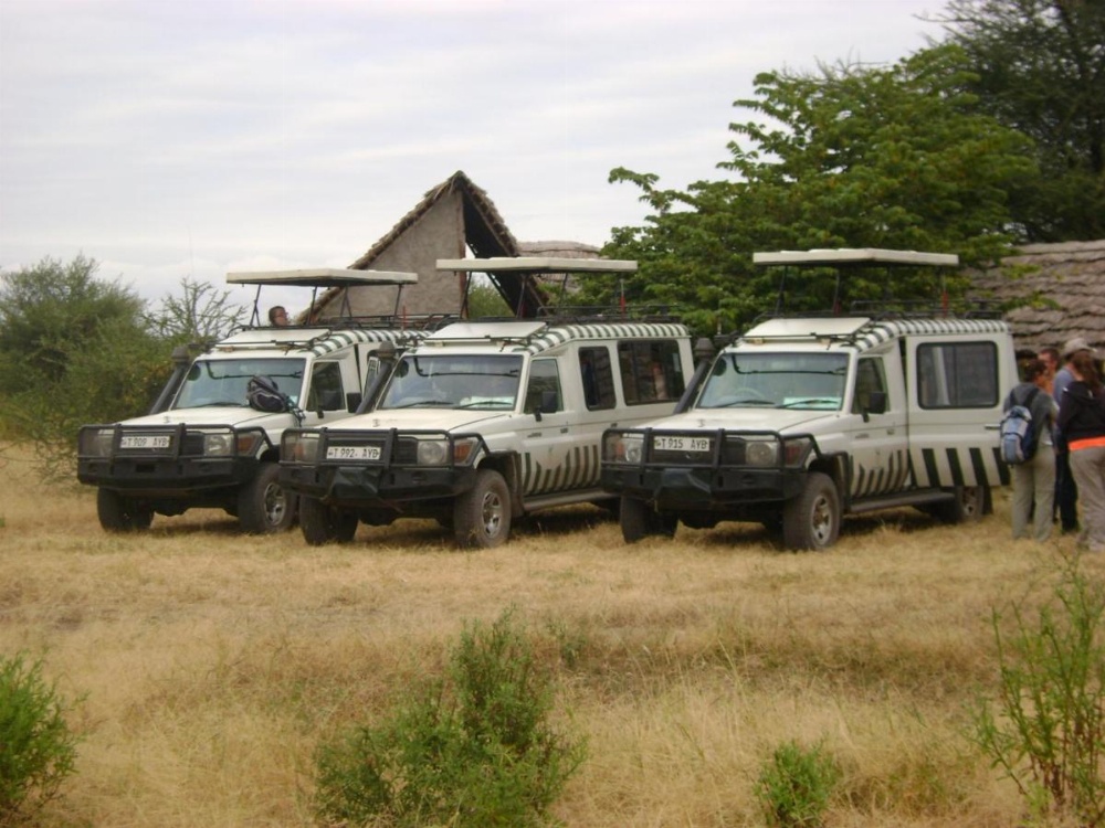 Tembo Tarangire Lodge & Camp Image 10
