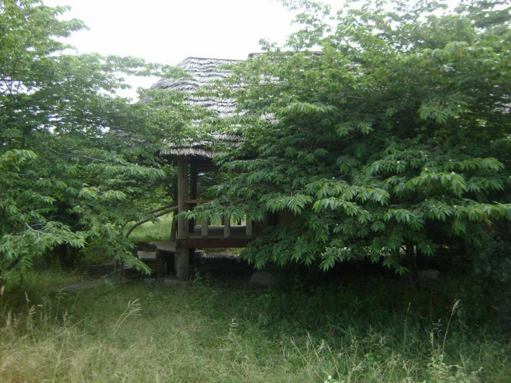 Tembo Tarangire Lodge & Camp Image 13