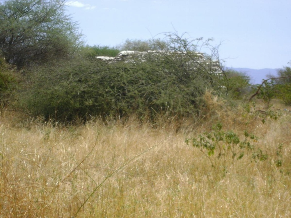 Tembo Tarangire Lodge & Camp Image 23