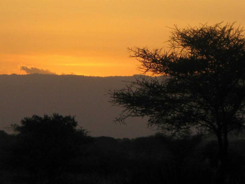 Tembo Tarangire Lodge & Camp Image 25