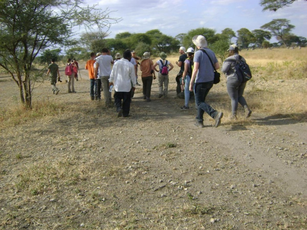 Tembo Tarangire Lodge & Camp Image 30