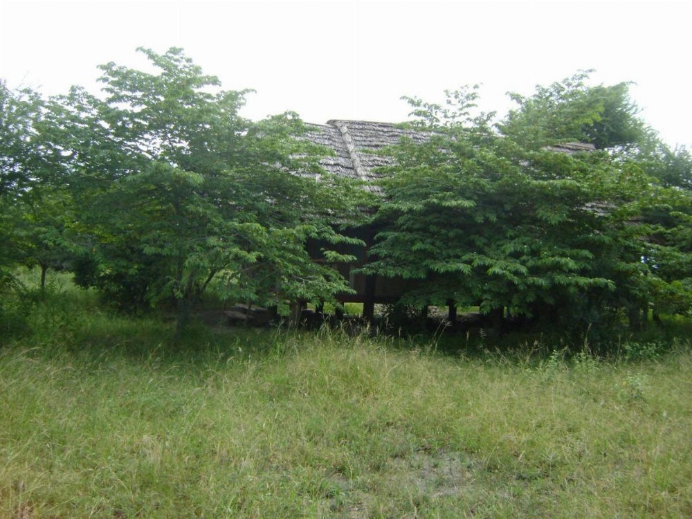 Tembo Tarangire Lodge & Camp Image 34