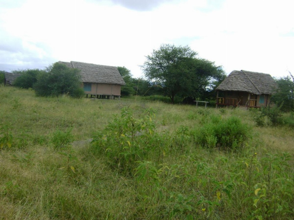 Tembo Tarangire Lodge & Camp Image 35