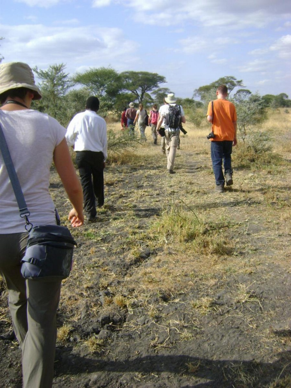 Tembo Tarangire Lodge & Camp Image 8